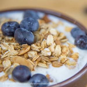 Blueberry and Muesli Vanilla Yoghurt