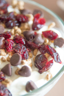 Chocolate Chip Cranberry All-Bran Buds Yoghurt Bowl