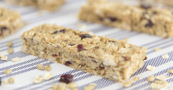 Quick Nut and Seed Bars