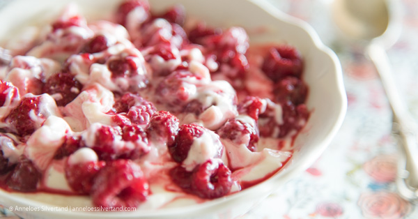 Raspberry Vanilla Yoghurt