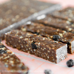 Cocoa Coconut Bars