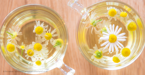 Fresh Chamomile Tea