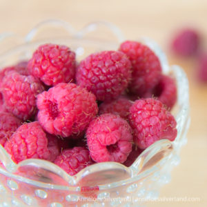 Raspberry Snack